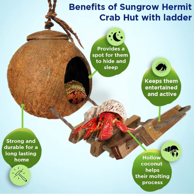 SunGrow Hermit Crab Coco Hut with Ladder, Hamster & Hermit Crab Hideout, Coconut Hide for Reptiles, Crab Cage Climbing Toys, Coconut Shell Mouse House, Habitat Tank Accessories, 5" - Image 3